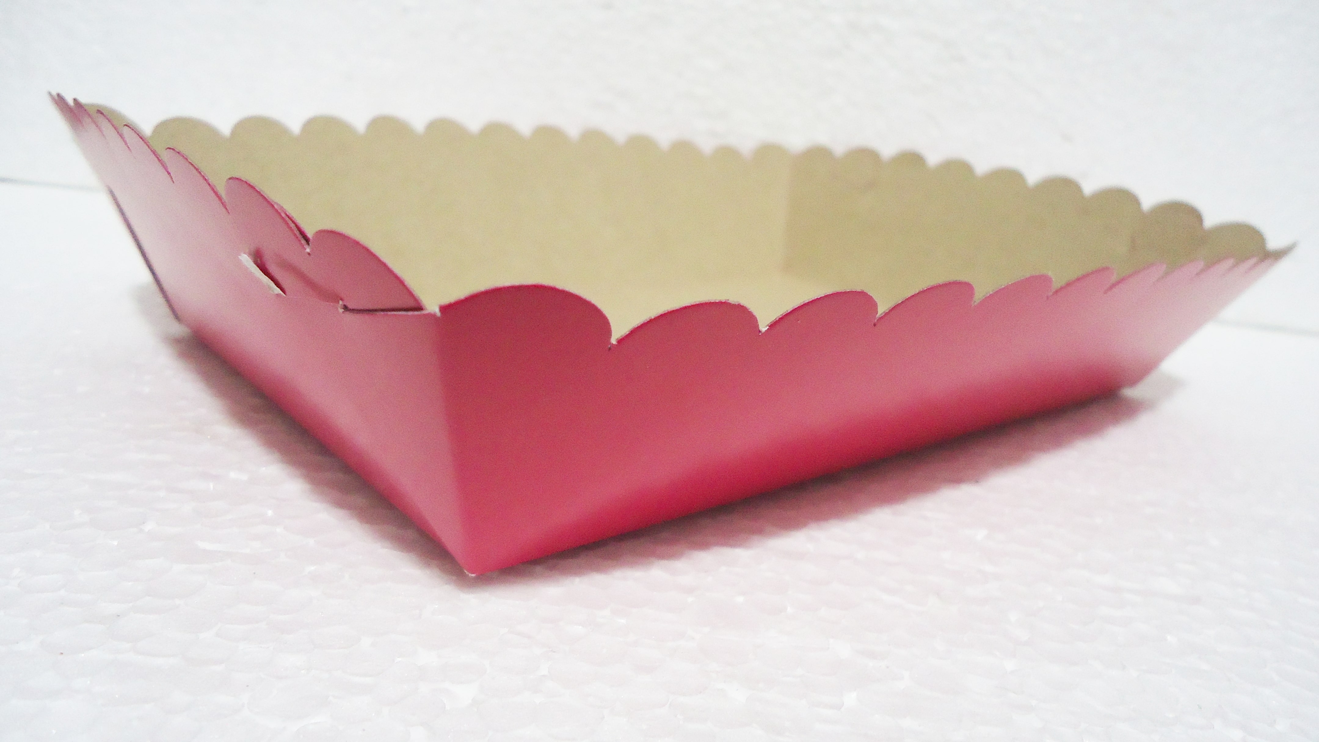 BANDEJA COLOR GRANDE (19X12) FUCSIA