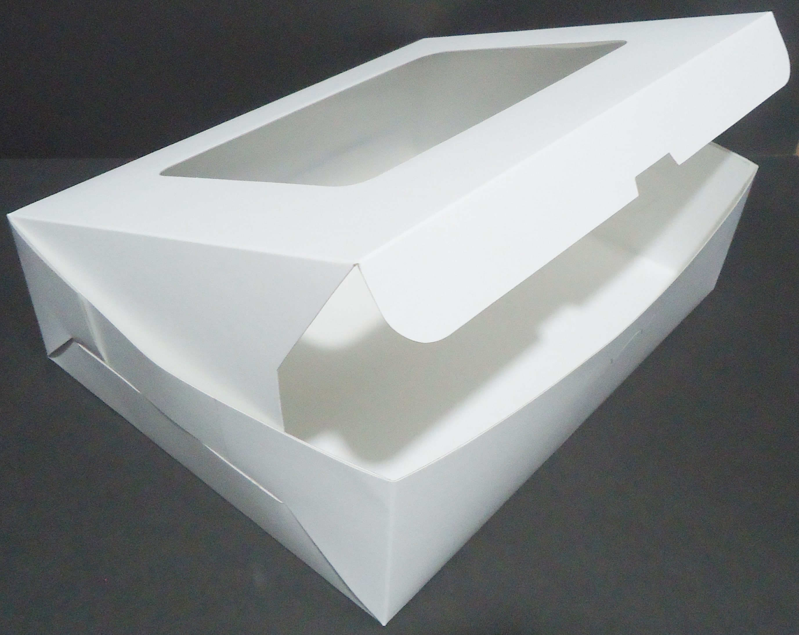 CAJA 25 DESAYUNO CON VISOR 25x30x9