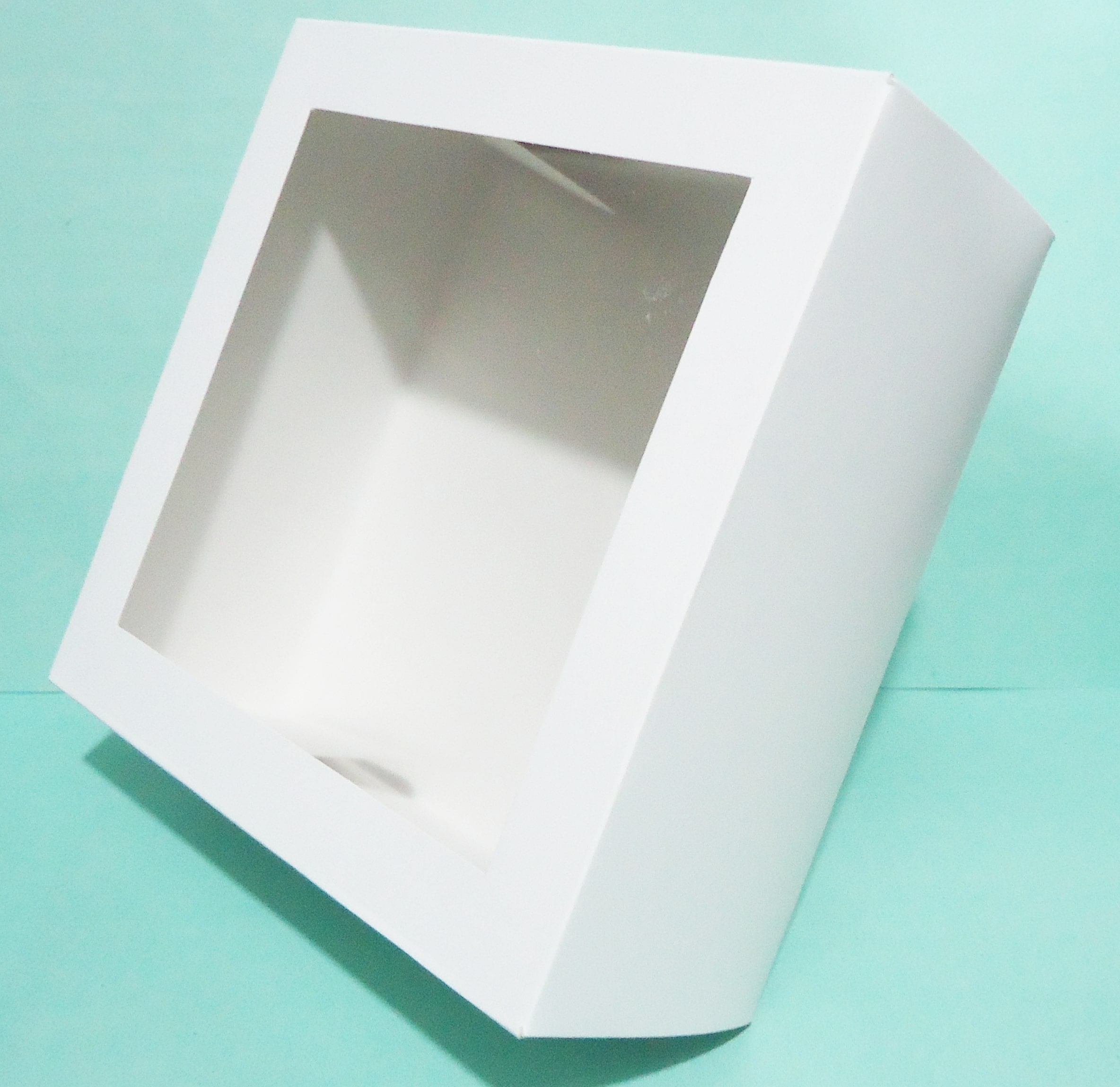 CAJA 20 DE TORTA VISOR 25x25x10 MEDOR