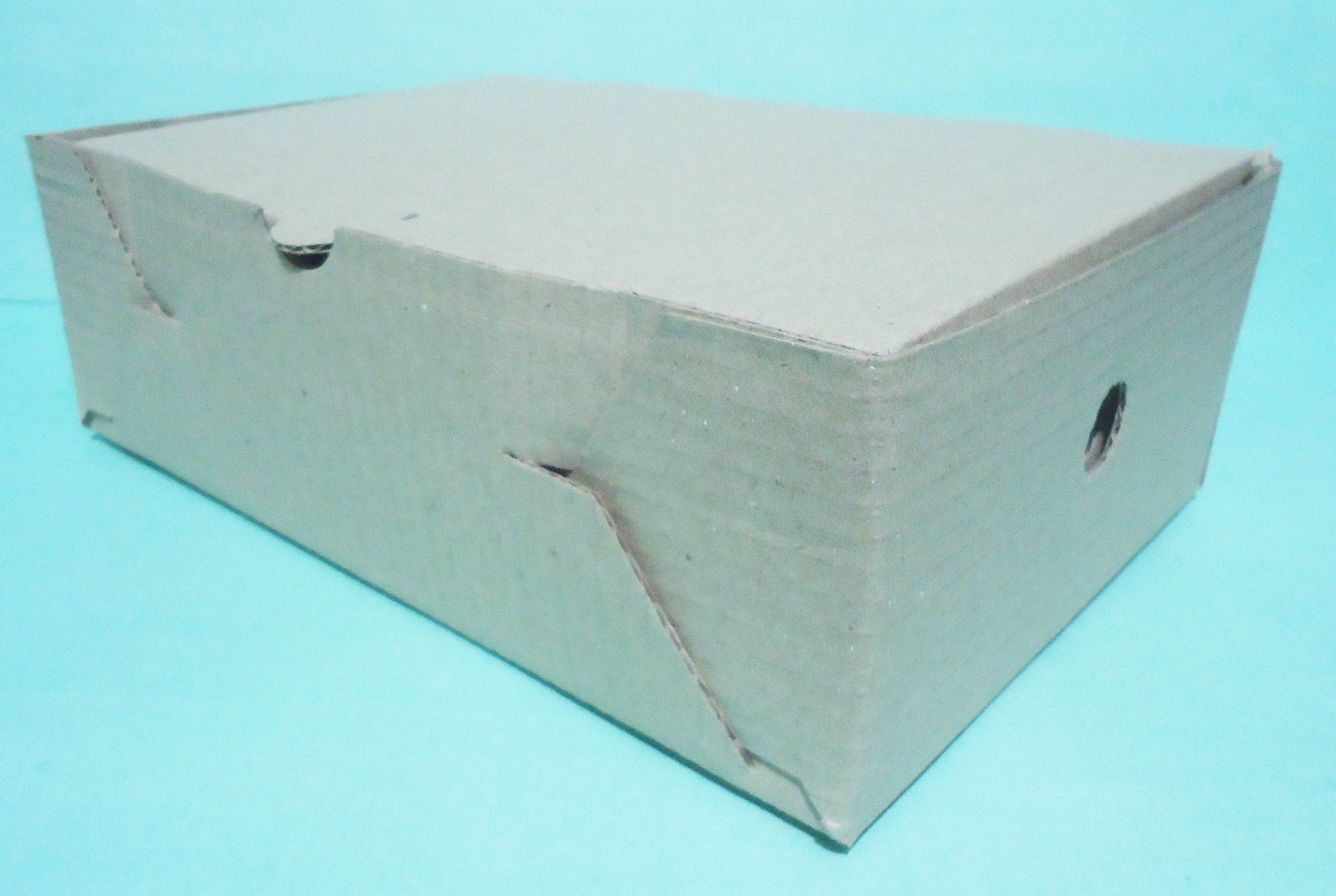 CAJA 54 SUSHI CORRUGADA MEDORO 13.5x25x8