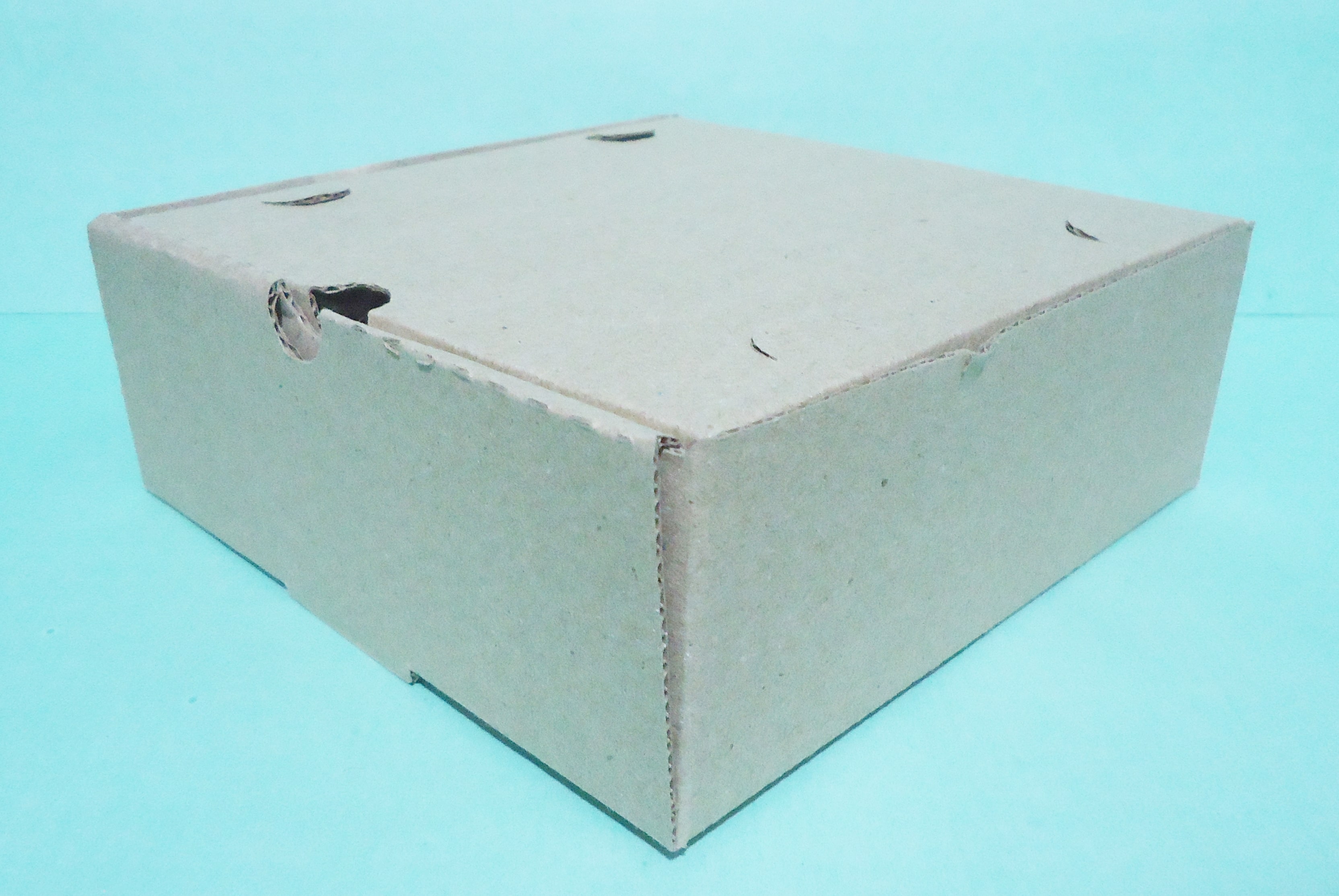 CAJA 70 EMPANADAS 3 UNI CORRUG 16x16x6
