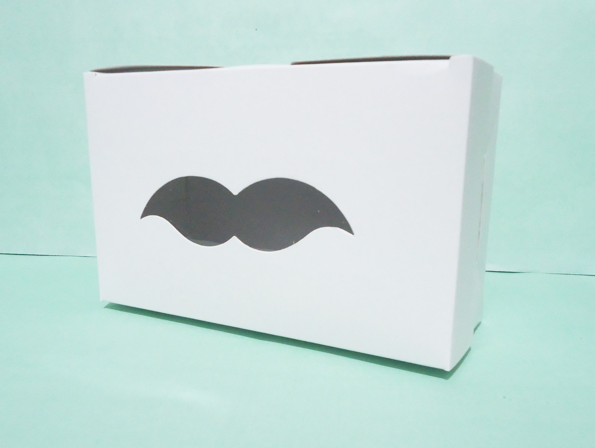 CAJA 5 BIGOTES 17X11X6.5