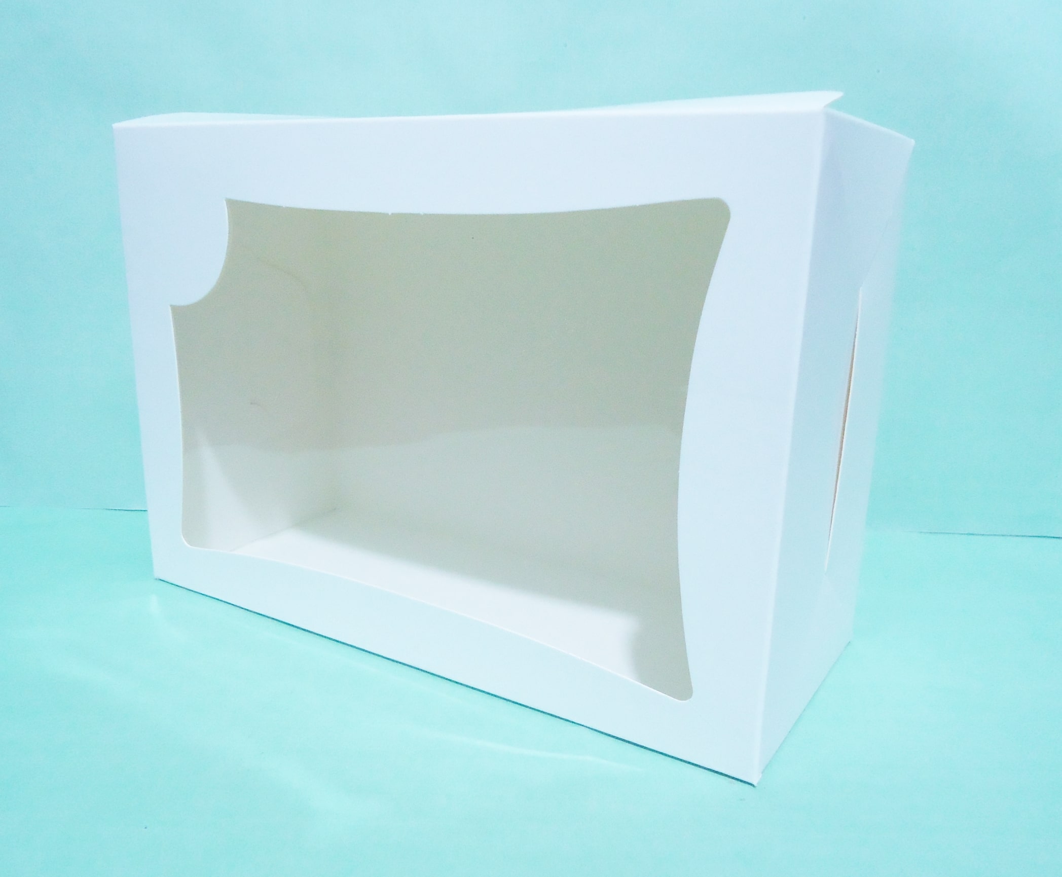 CAJA 49 RECTANGULAR VISOR 16x23x10ME