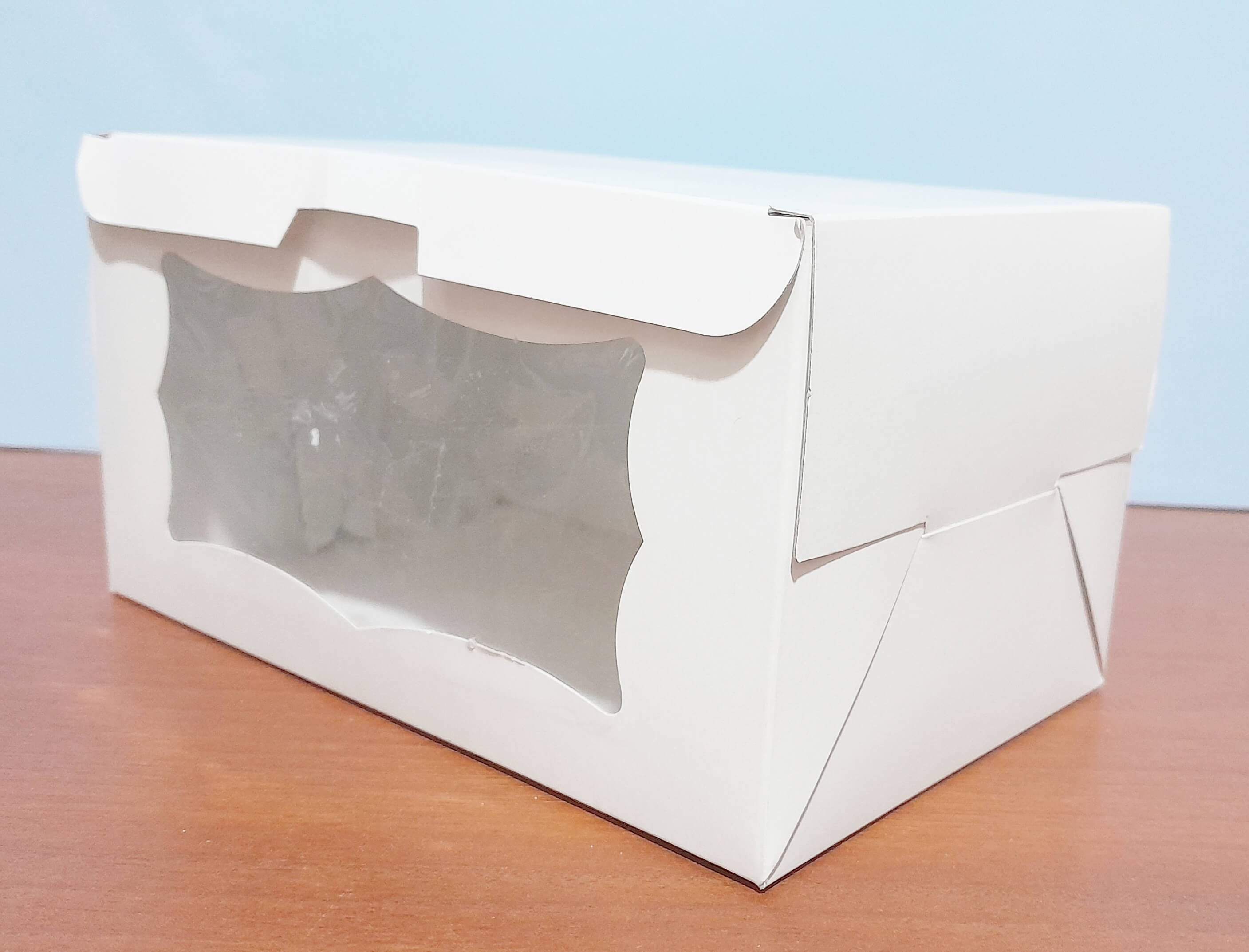 CAJA 47 RECTANGULAR CON VISOR 17x11x9 BL