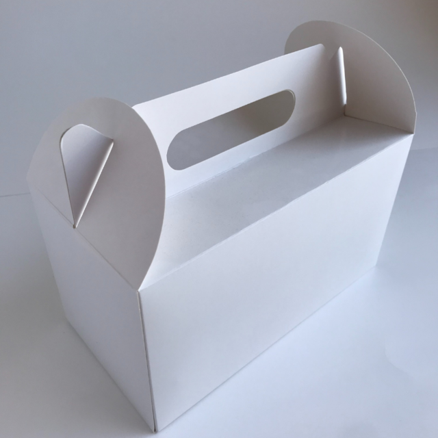 CAJA 41 MALETIN 25x13x14