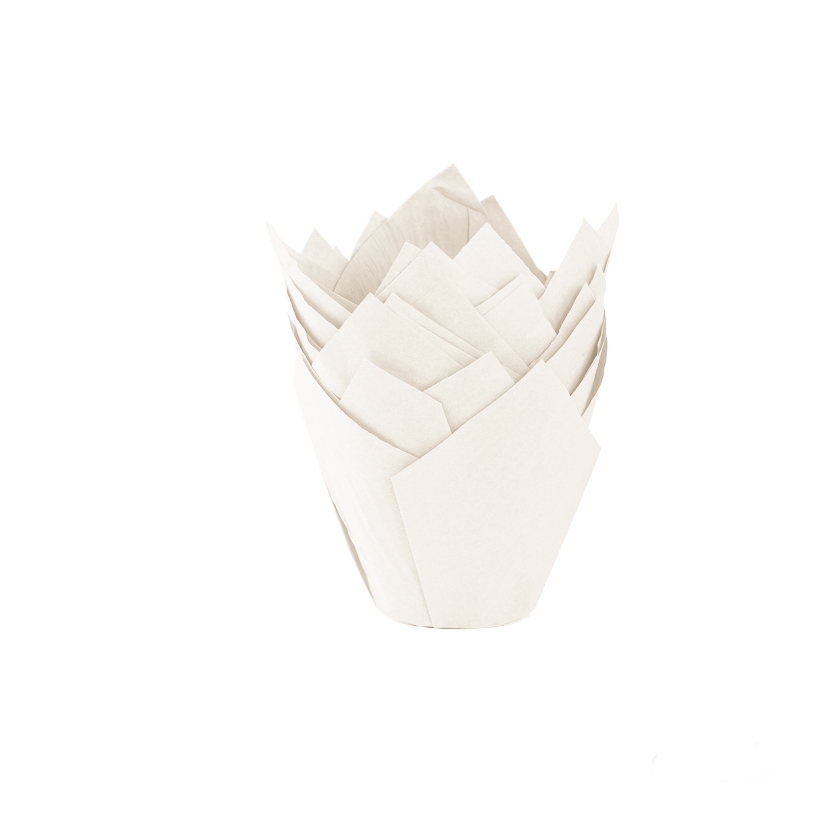 TULIPAS x50 BLANCO MOLDPACK
