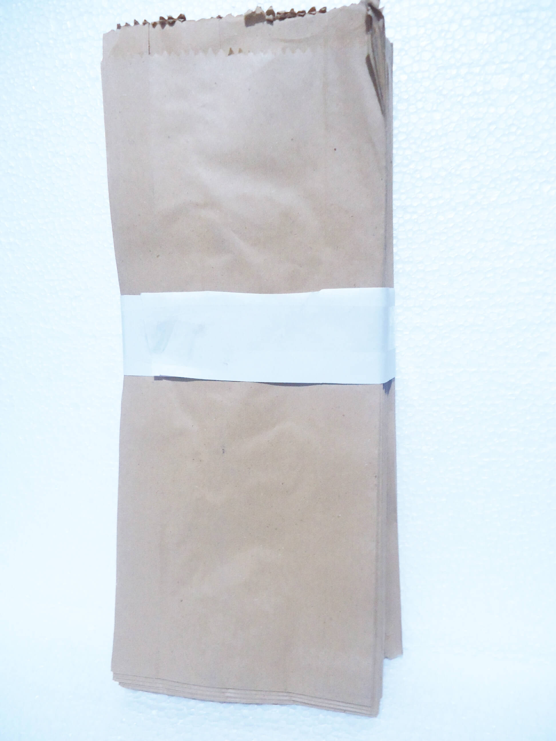 BOLSA FACTURA KRAFT N° 6L x100