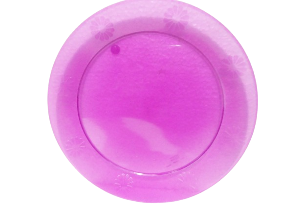 PLATO RIGIDO GRANDE 23cm VIOLETA x10