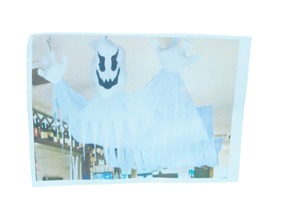 FANTASMA CORTINA 304A-350