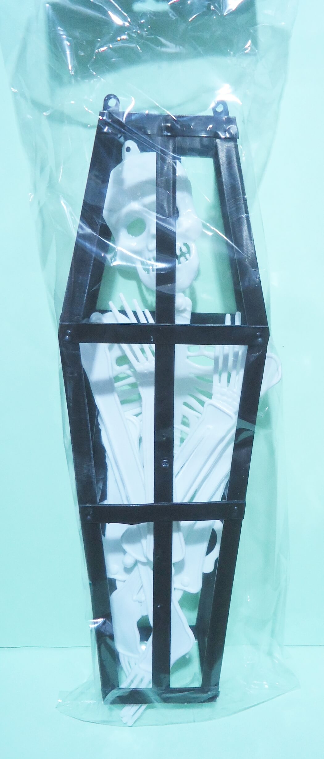 ATAUD ESQUELETO STAZIO