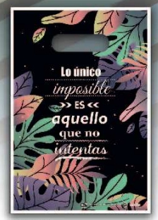 BOLSA RIÑON TERLIZZI 15x20 x50 FRASES