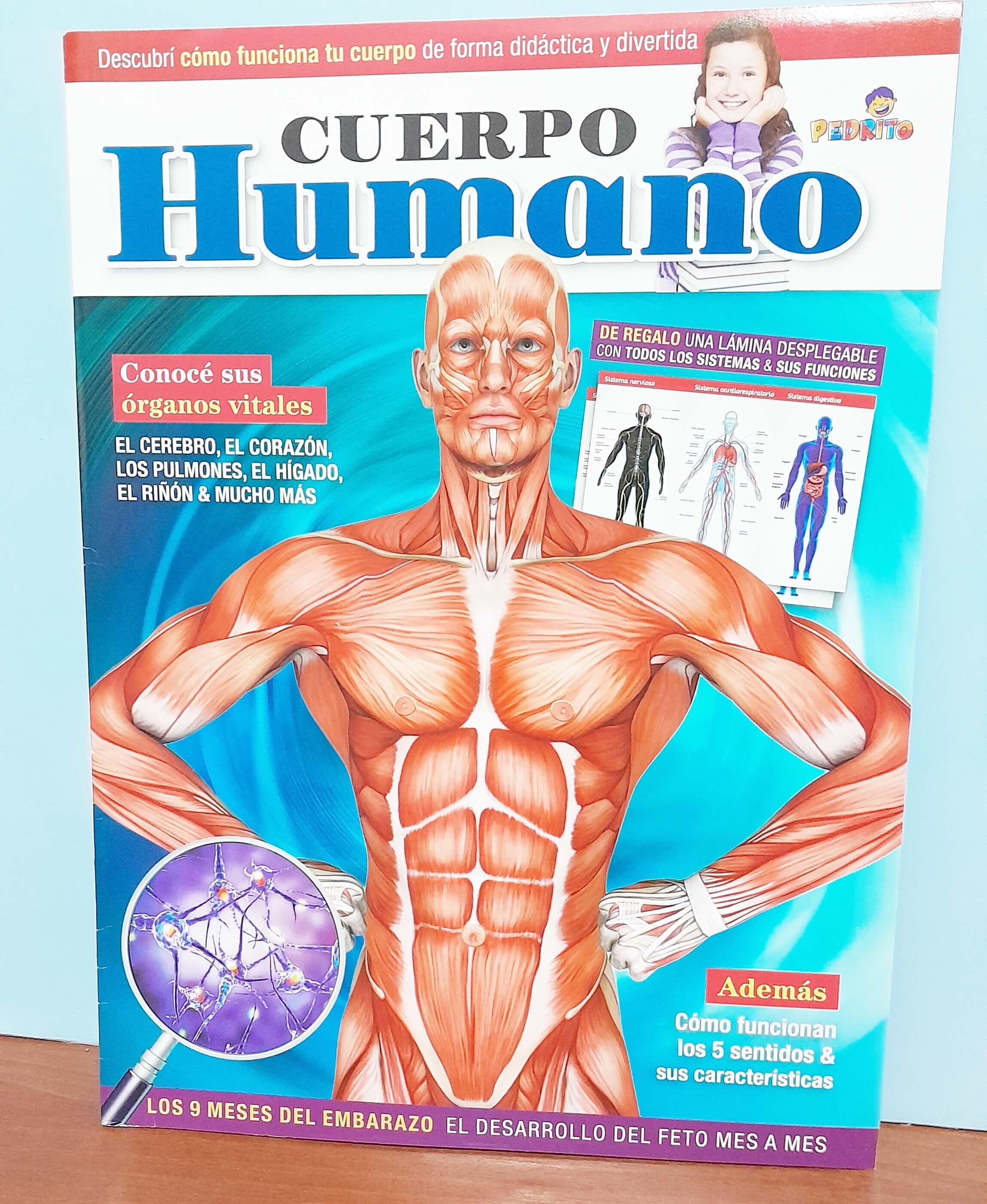 LIBRO DEL CUERPO HUMANO