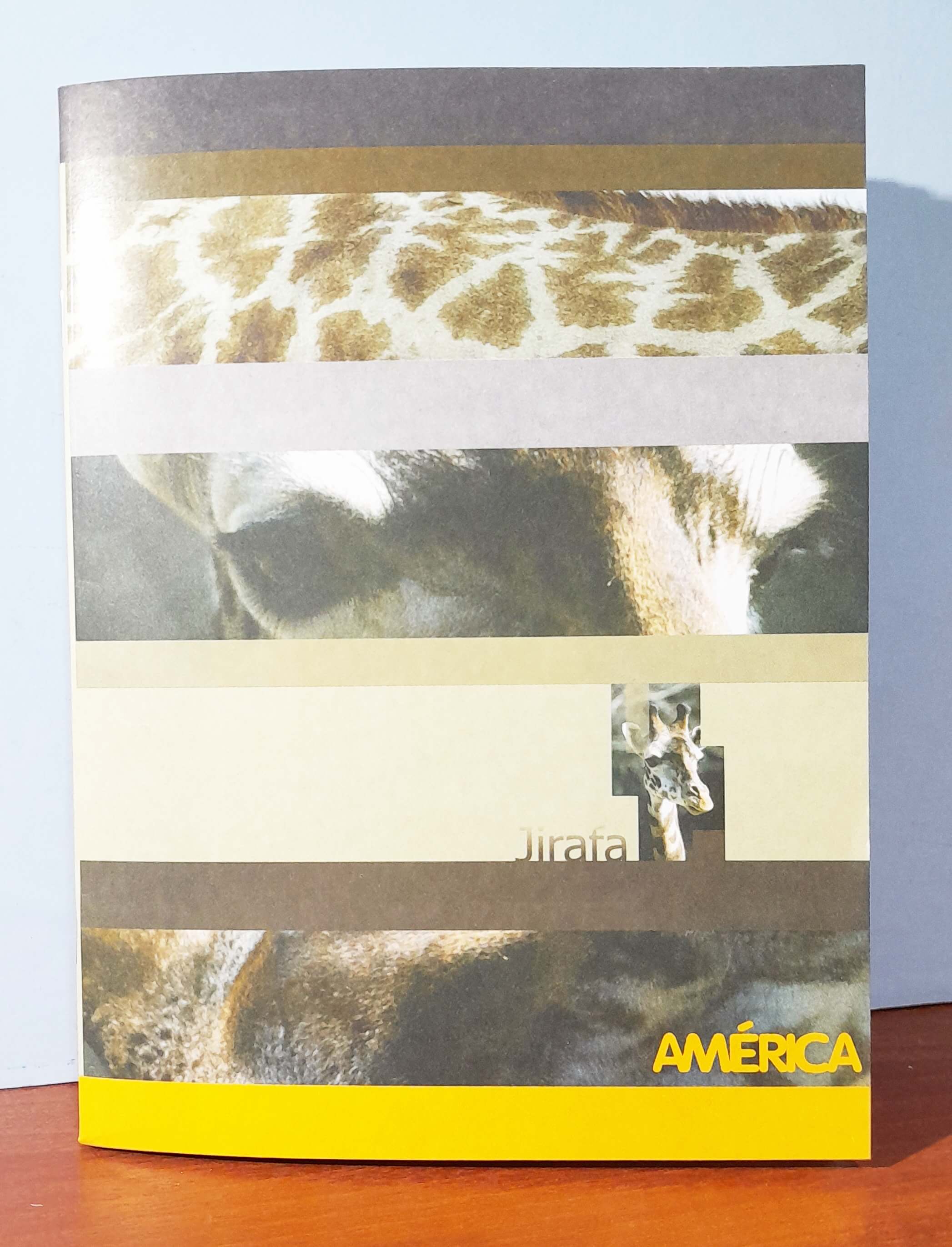 CUADERNO A5 AMERICA T/F x48h CUADRI