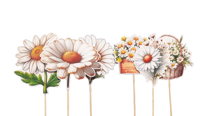 CAKE TOPPER PERSONAJES MARGARITAS