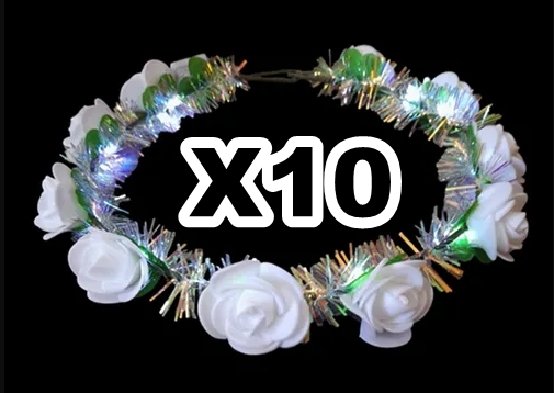 LUMINOSO LED CORONA ECO BLANx10 (web)