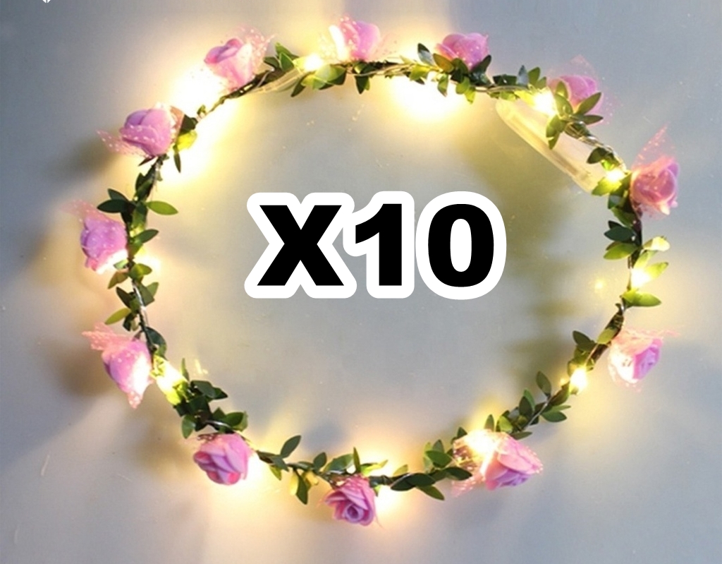 LUMINOSO LED CORONA ECO ROSAx10 (web)