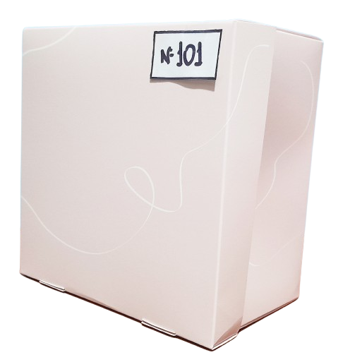 CAJA 101 SORPRESA 20x20x20 ROSA