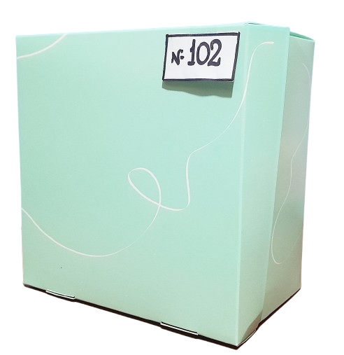 CAJA 102 SORPRESA 20x20x20 VERDE