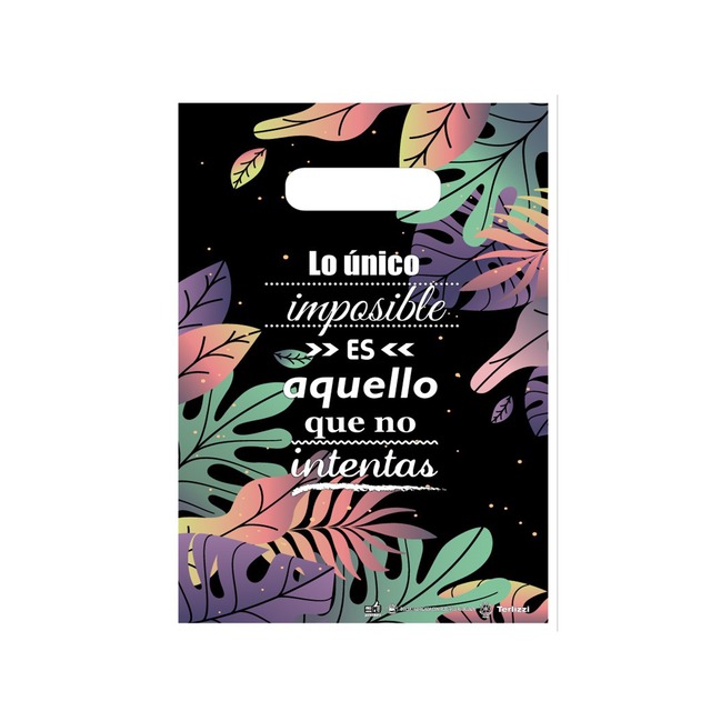 BOLSA RIÑON TERLIZZI 20x30 x50 FRASES