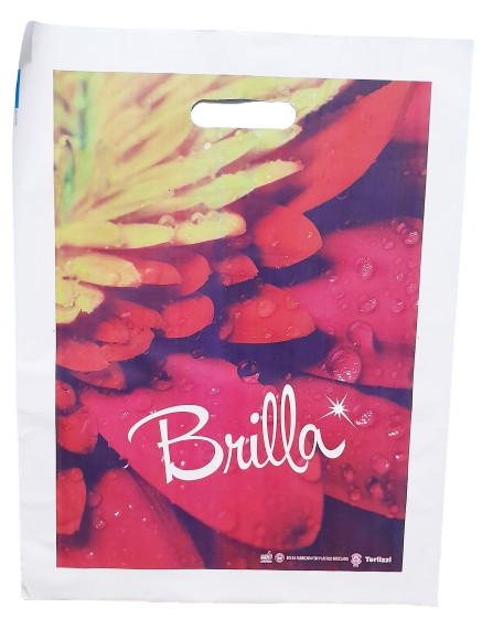 BOLSA RIÑON TERLIZZI 35x45 x50 BRILLA