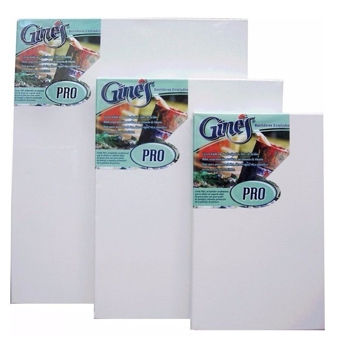 BASTIDOR 20X30 GINES PRO