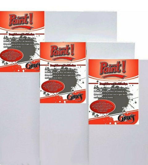 BASTIDOR 20X20 GINES PAINT