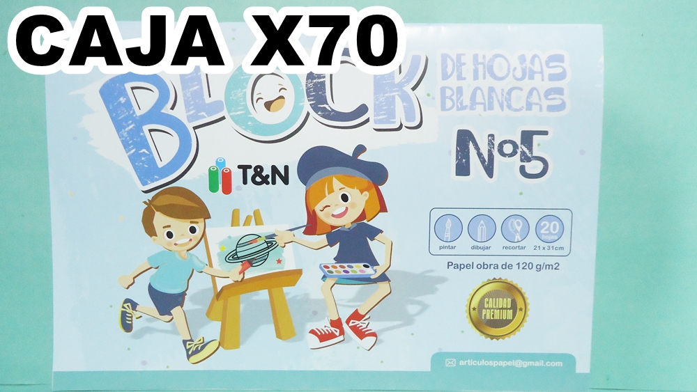 BLOCK DE DIBUJO BLANCO TYN X20HJ CAJAX70